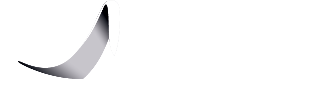 Big Skill Solutions LLC